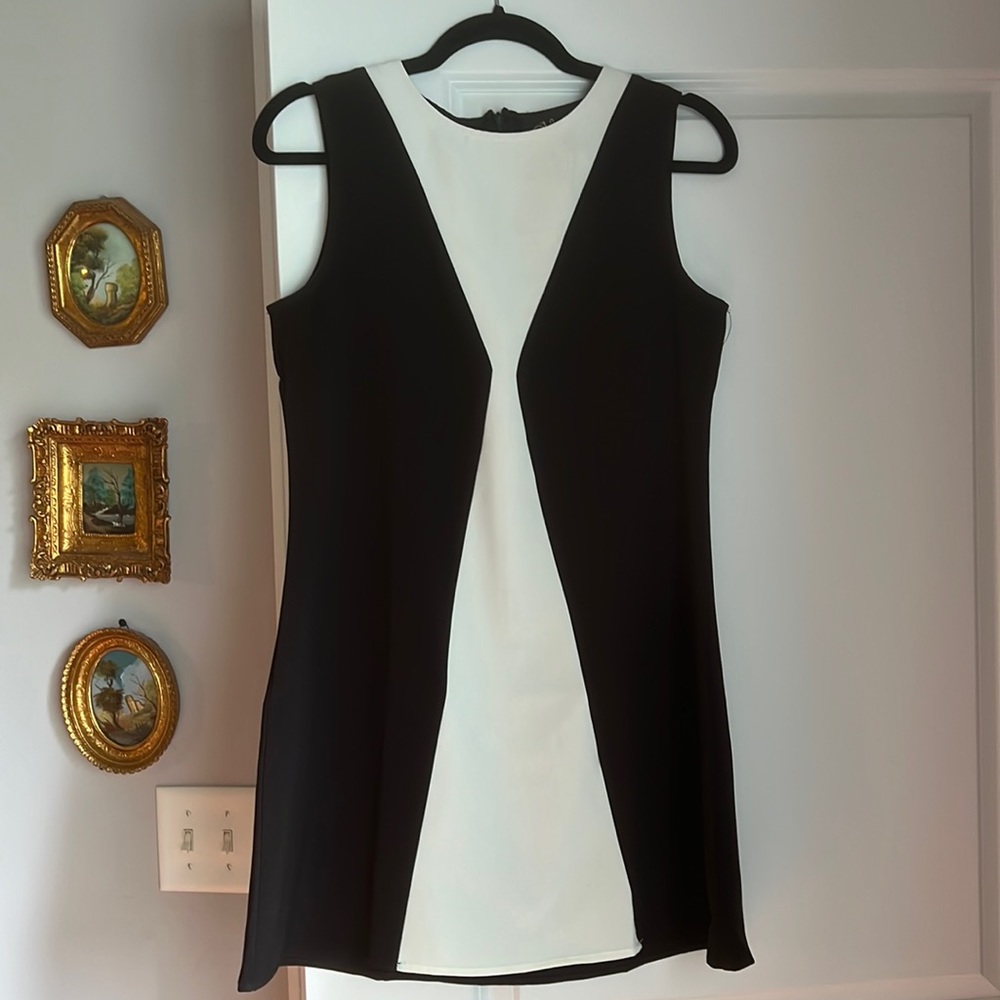Vintage Inspired 60s Mini Dress